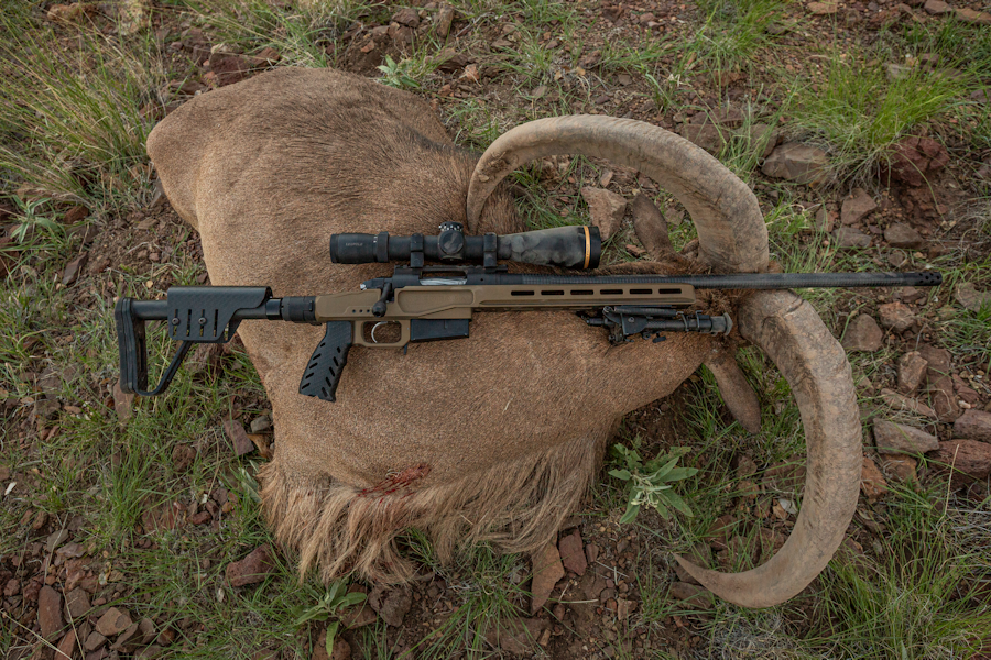 Element 4.0 Magnesium Lightweight Rifle Chassis | XLR Industries - XLR ...